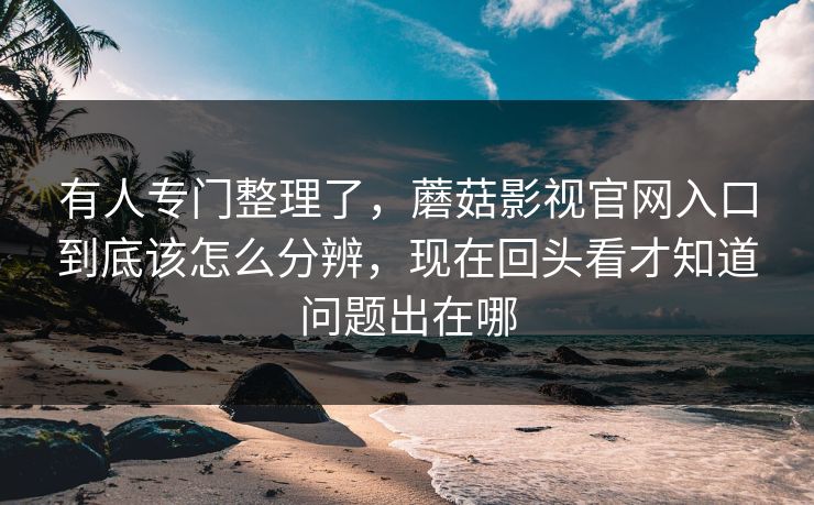 有人专门整理了，蘑菇影视官网入口到底该怎么分辨，现在回头看才知道问题出在哪