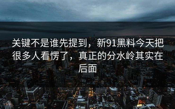 关键不是谁先提到，新91黑料今天把很多人看愣了，真正的分水岭其实在后面
