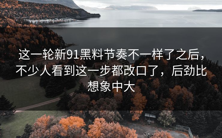 这一轮新91黑料节奏不一样了之后，不少人看到这一步都改口了，后劲比想象中大