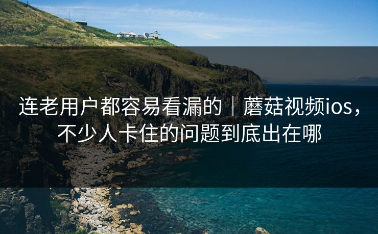 连老用户都容易看漏的｜蘑菇视频ios，不少人卡住的问题到底出在哪