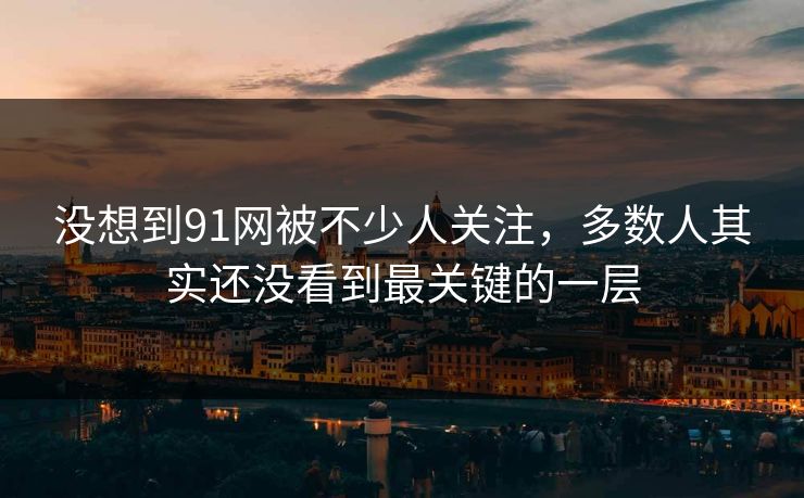 没想到91网被不少人关注，多数人其实还没看到最关键的一层