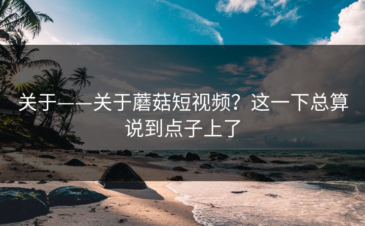 关于——关于蘑菇短视频?这一下总算说到点子上了