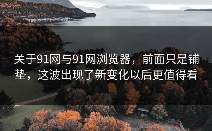 关于91网与91网浏览器，前面只是铺垫，这波出现了新变化以后更值得看