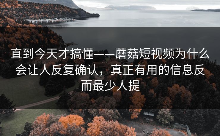 直到今天才搞懂——蘑菇短视频为什么会让人反复确认，真正有用的信息反而最少人提