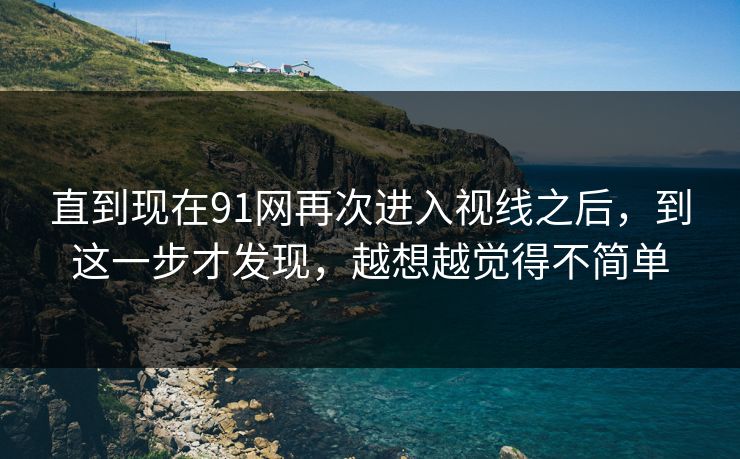 直到现在91网再次进入视线之后，到这一步才发现，越想越觉得不简单