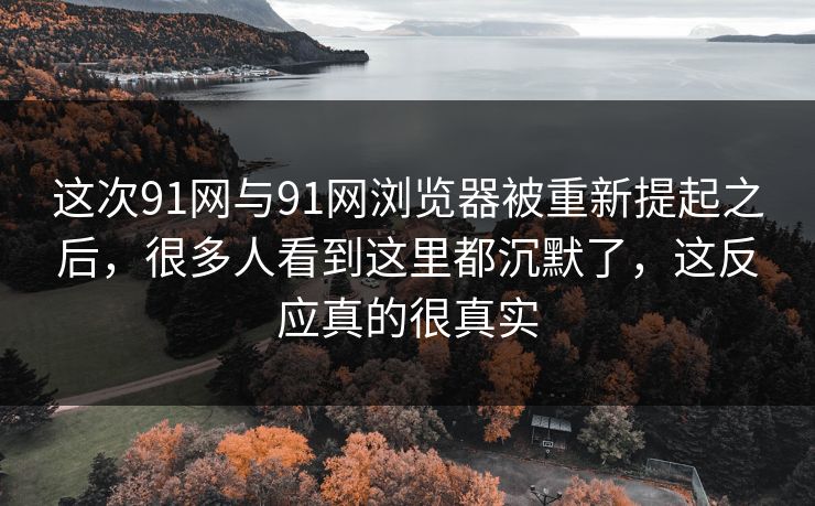 这次91网与91网浏览器被重新提起之后，很多人看到这里都沉默了，这反应真的很真实