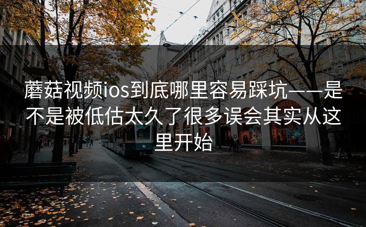 蘑菇视频ios到底哪里容易踩坑——是不是被低估太久了很多误会其实从这里开始
