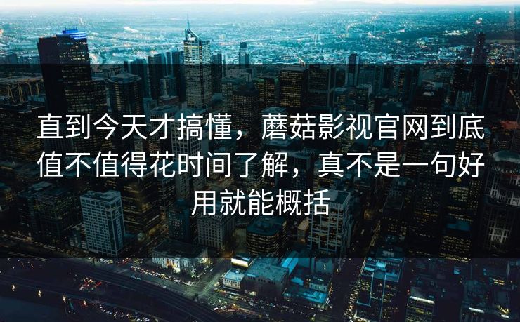 直到今天才搞懂，蘑菇影视官网到底值不值得花时间了解，真不是一句好用就能概括