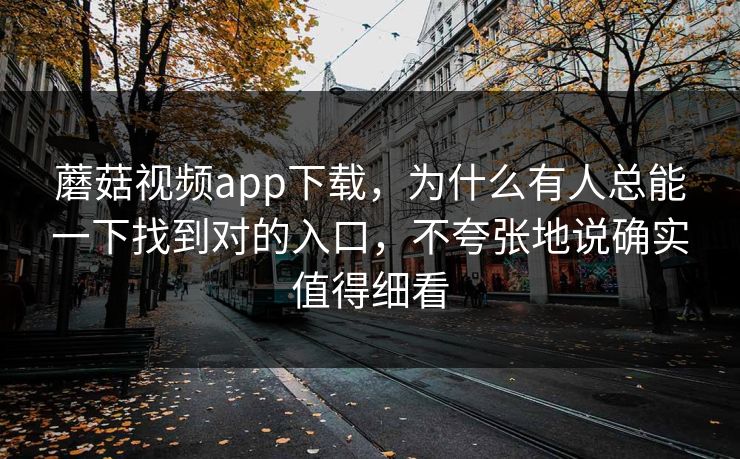 蘑菇视频app下载，为什么有人总能一下找到对的入口，不夸张地说确实值得细看