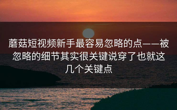 蘑菇短视频新手最容易忽略的点——被忽略的细节其实很关键说穿了也就这几个关键点