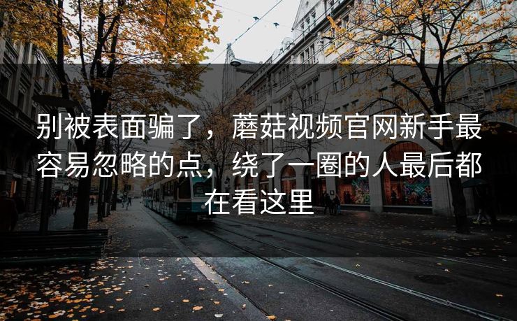 别被表面骗了,蘑菇视频官网新手最容易忽略的点,绕了一圈的人最后都在看这里