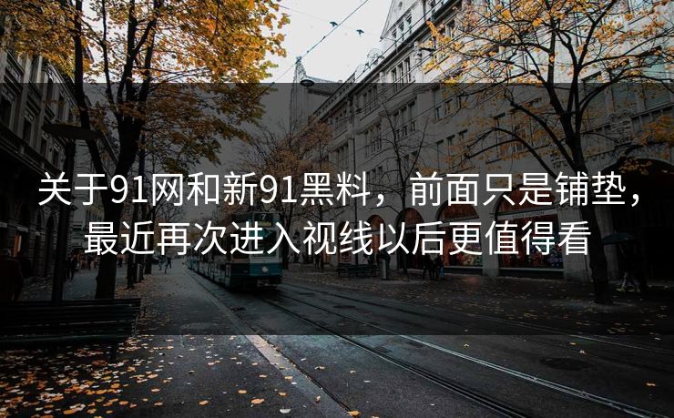 关于91网和新91黑料，前面只是铺垫，最近再次进入视线以后更值得看