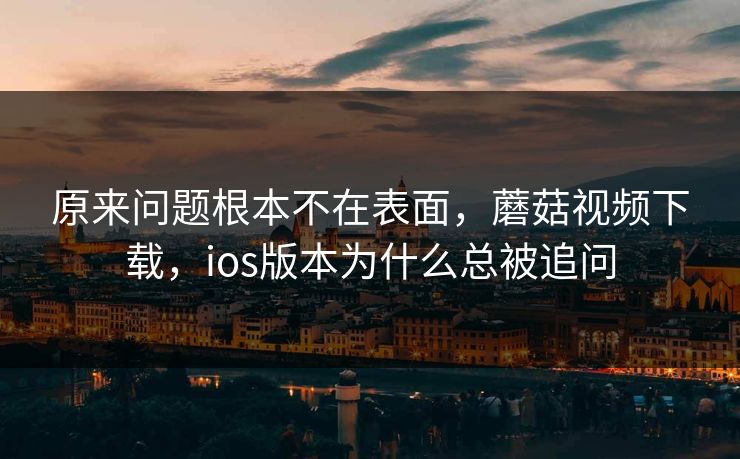原来问题根本不在表面，蘑菇视频下载，ios版本为什么总被追问