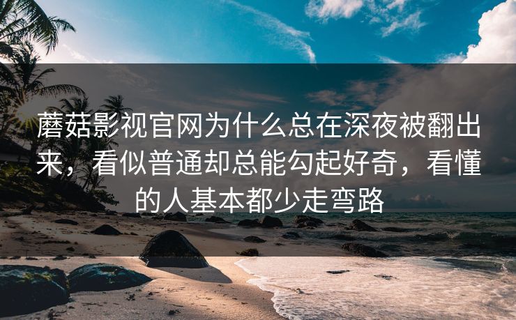 蘑菇影视官网为什么总在深夜被翻出来，看似普通却总能勾起好奇，看懂的人基本都少走弯路